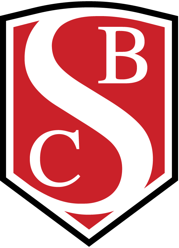 Saccullo Logo