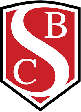 Saccullo Business Consulting